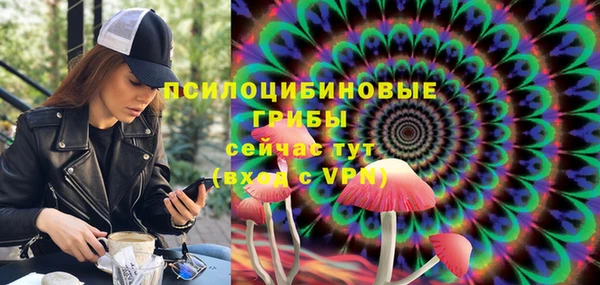 ALPHA PVP Осинники