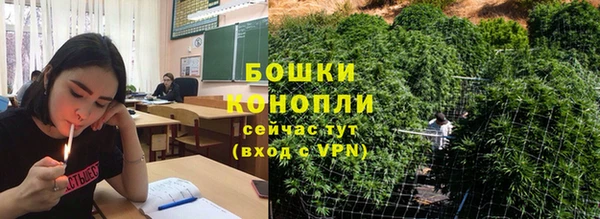 ALPHA PVP Осинники